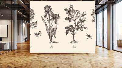 Botanical victorian illustration. Flower monochrome set. Engraved vintage style. Chrysanthemum, iris, lily and rose. Vector isolated design on a white background.    Wall mural