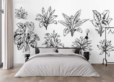 Hand drawn black and white tropical plants. Vector illustration set. Foliage design. Botanical element isolated on a white background. Wall mural