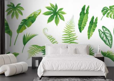 Tropical leaves collection. Hawaiian plants set. Botanical illustration. Vector elements isolated on a white background.  Wall mural