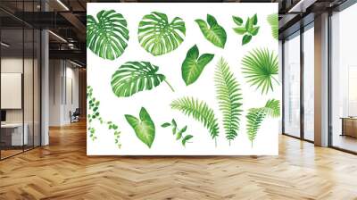 Tropical leaves collection. Hawaiian plants set. Botanical illustration. Vector elements isolated on a white background.  Wall mural