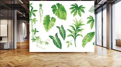 Tropical leaves collection. Hawaiian plants set. Botanical illustration. Vector elements isolated on a white background.  Wall mural