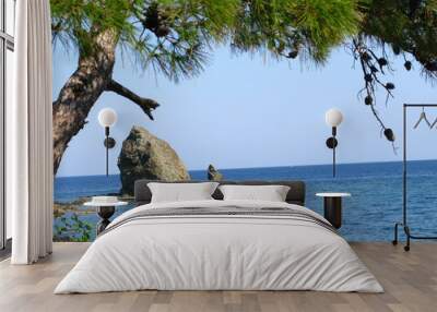 The pine tree near the sea. Sea rocks in water Wall mural