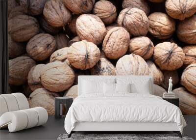 Top view of freshly harvested walnuts  Wall mural