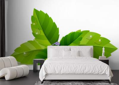 Fresh green mint leaves isolated on white background Wall mural