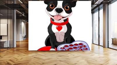 Valentine day Boston terrier Wall mural