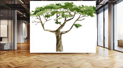 Watercolor hand painted nature tree isolated on white background. Africa green illustration.  Forest ecologic element. Wall mural