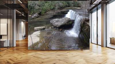 waterfall in the forest Wall mural