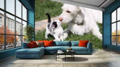 white big puppy plays with a tiny kitten on green grass. The muzzle of a dog and a kitten sniffing each other. Caring, friendship, acceptance, animal relationships. To live together Wall mural