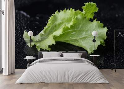 Lettuce leaf on black background Wall mural