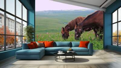 Two brown horses graze among lush grass and bright flowers in the mountains of a protected nature reserve Wall mural