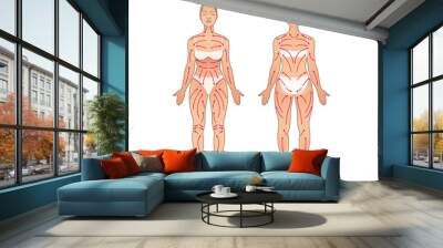 Women body with massage lines. Dry brush massage scheme. Front and back view Wall mural