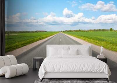 Asphalt road in green fields on blue cloudy sky background Wall mural