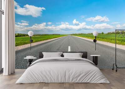 Asphalt road in green fields on blue cloudy sky background Wall mural