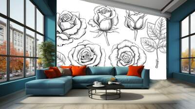 Hand drawing set of roses. Engraving elements of rose flowers. Vector illustration isolated on the white background Wall mural