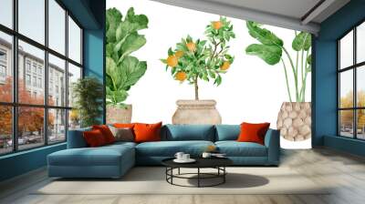 Hand drawn tropical house plants. Modern and elegant home decor. Watercolor design indoor potted flowers. Wall mural