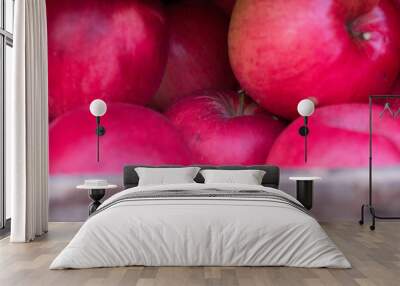 Red fresh bio apples in old wooden crate in summer farm on village. Wall mural