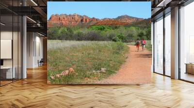 Hiking in Red Rock National Park in Sedona Wall mural