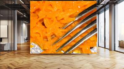 Carrot Salad Wall mural