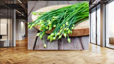 Chives flower, Garlic chives or Chinese Chive. Wall mural