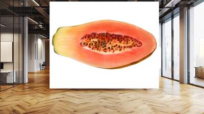 Papaya Pencil Illustration Isolated on White Wall mural