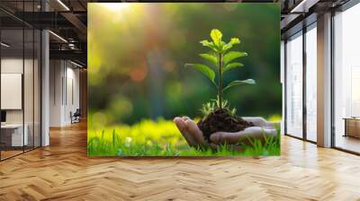 Trees planted in human hands with natural green background. environmental protection On the occasion of World Environment Day. Wall mural