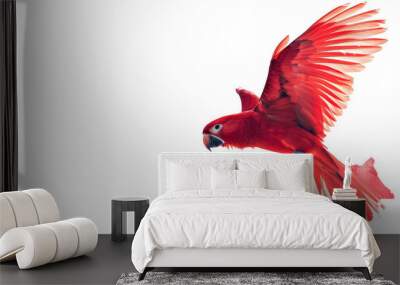 A red parrot is flying in the air Wall mural