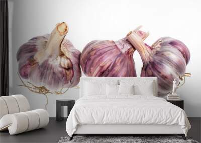 Three purple garlic bulbs are shown with their roots still attached Wall mural