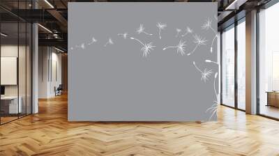 flower dandelion sketch Wall mural