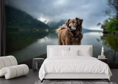 Dog at a beautiful wooden bridge. Dog at the lake. Foggy mood between moutains. Wall mural