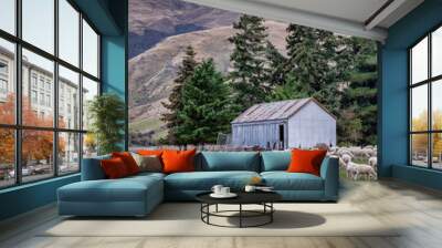 A landscape scene in rural South Island of New Zealand in autumn with sheep in a paddock and a barn, trees and mountains in the background. Wall mural