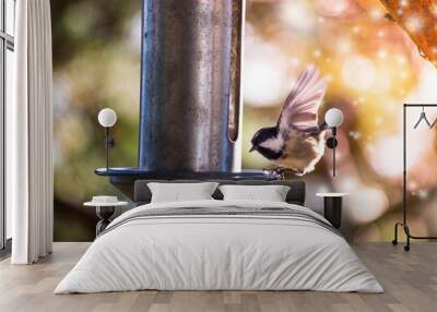 a Sparrow flies in the sky and colorful fantasy bokeh background with a food bowl Wall mural