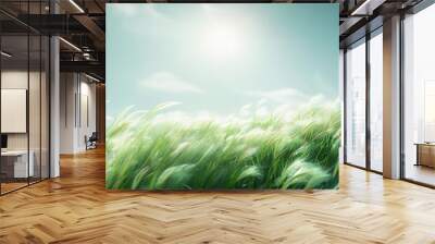 Soft green grass field moving in the wind. Nature spring background. Selective and soft focus of grass, flowers and wild plants moving by a blowing wind and illuminated by a golden sunset. Spring Wall mural