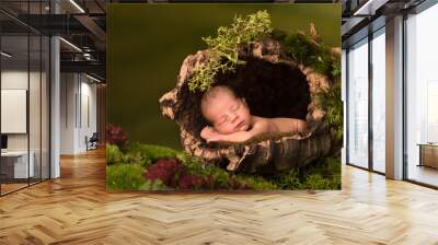 Baby sleeping in hollow tree trunk Wall mural