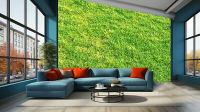 Green grass lawn as background, nature and backyard Wall mural