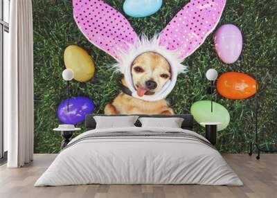 authentic photo of a cute chihuahua with rabbit ears on and his tongue out surrounded by easter eggs toned with a retro vintage filter Wall mural