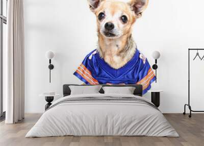 football dog Wall mural