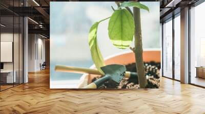 view of houseplants trunk  with trowel on flower pot Wall mural