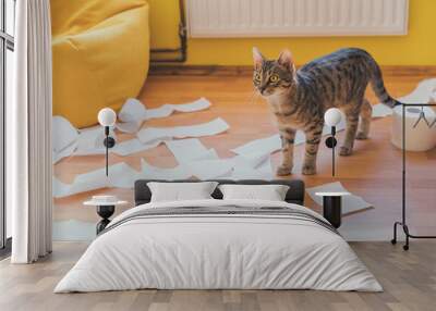 Cute cat playing with a roll of toilet paper, on a wooden background. Concept of adopt pets Wall mural