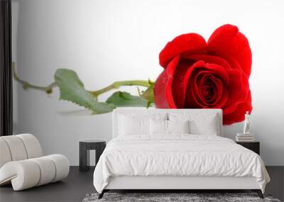 beautiful single red rose isolated on white background Wall mural