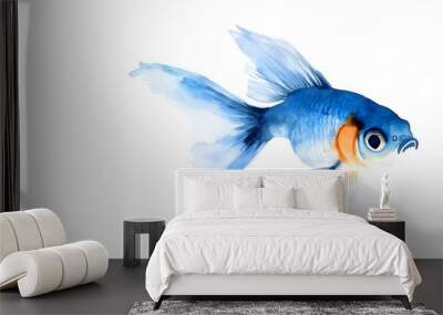 siamese fighting fish isolated on white Wall mural