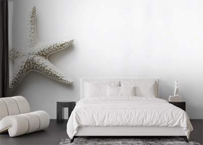 starfish on white background Wall mural