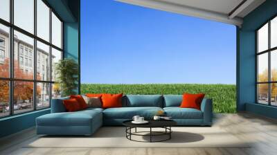 green grass and blue sky Wall mural