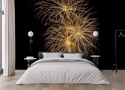 Color full fireworks, Fireworks, Fireworks on black background Wall mural