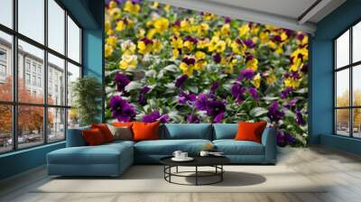 Pansies Wall mural