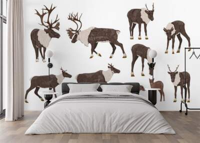 reindeer set. males, females and calves of caribou rangifer tarandus. wild animals of the tundra and Wall mural