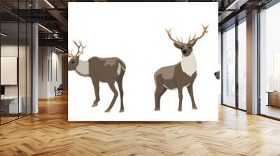 Set of wild reindeer. Caribou. Animals of the North, Alaska, Russia, Canada, Scandinavia. Vector object isolated on white background. Wall mural