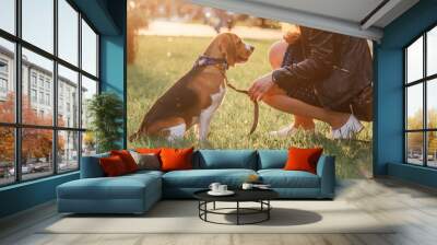 girl with beagle at sunset Wall mural