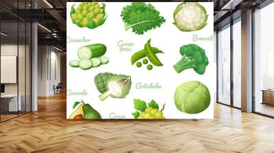 Green vegetables vector icons collection isolated on white background. Fresh green food set of cartoon illustrations, healthy vegetables cucmber, avocado grape, white cabbage kale leaves, green peas  Wall mural