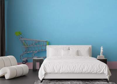 Collection of shopping cart  full of shopping time.Top view or flat lay composition cart on color background. Wall mural