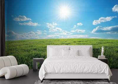 Lush green meadow under clear blue sky Wall mural